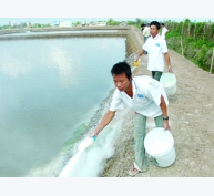 Quy chuẩn sản phẩm xử lý môi trường nuôi thủy sản