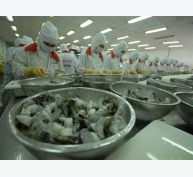Xuất khẩu hải sản sang EU giảm rõ rệt vì IUU