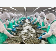 Khánh Hòa xuất khẩu thủy sản ước đạt trên 454 triệu USD