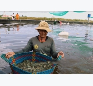 Khánh Hòa tăng cường quản lý nuôi trồng thủy sản cuối năm
