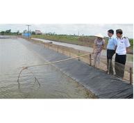 Ngăn Chặn Tình Trạng Vận Chuyển, Buôn Bán Thủy, Hải Sản Chứa Tạp Chất