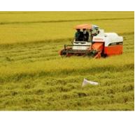 ĐBSCL chuẩn bị đón làn sóng đầu tư Nhật vào nông nghiệp