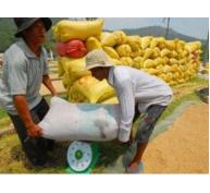 Gạo Việt nhưng phải dùng bao bì nước ngoài để bán trong siêu thị