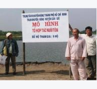 Nâng cao hiệu quả tổ hợp tác nuôi tôm tại xã Bình Khánh, huyện Cần Giờ