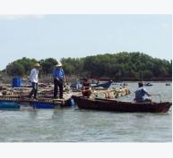 Nhiều hộ nuôi thủy sản lồng bè trên sông Chà Và không phép