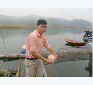 Đánh giá hiệu quả mô hình nuôi cá lồng trên hồ Bảo Linh