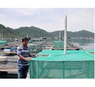 Toàn tỉnh Khánh Hòa có hơn 23.300 lồng nuôi tôm hùm