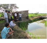Tổng cục Thủy sản Bộ NN&PTNT khảo sát đánh giá hiện trạng tôm lúa 2 huyện Phước Long và Hồng Dân