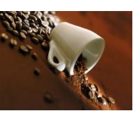 Xuất khẩu cà phê nhân dần nhường chỗ cho cà phê hòa tan