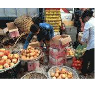 Nông sản Việt: Tìm cơ hội trong cạnh tranh