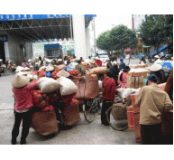 Nông sản Trung Quốc áp thuế NK 0%: Nhà nông có nguy cơ “ngạt thở”