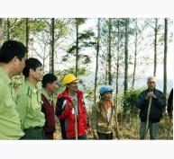 149.100 ha đất rừng bị tranh chấp, lấn chiếm