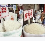 Sang Campuchia học làm thương hiệu gạo