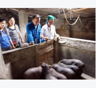Phụ nữ trên quê hương núi Đôi giúp nhau phát triển kinh tế