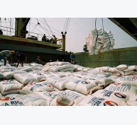 Sắp hết thời đóng bao tải gạo xuất khẩu: Gạo Việt sẽ có logo 