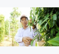 MRL – điểm yếu của nông dân và doanh nghiệp Việt