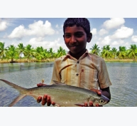Thủy sản Ấn Độ: Phát triển bằng 3D mapping
