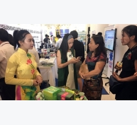 Mekong Connect 2017: Gạo phải là ‘cô gái đẹp’