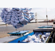 Bứt phá xuất khẩu gạo
