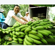 Tăng trưởng trái chiều về nhập khẩu 9 loại trái cây Việt Nam vào Trung Quốc
