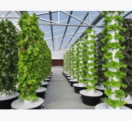 Mê sống xanh - sáng tạo máy trồng rau khí canh