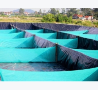Ứng dụng công nghệ 'zíc zắc' lọc nước nhanh trong nuôi tôm vụ đông ở Nghệ An