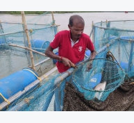 Tại sao nuôi trồng thủy sản lồng bè đang là mốt thịnh hành ở Ấn Độ
