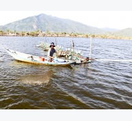 Khánh Hòa lưu ý thận trọng nuôi thủy sản lúc giao mùa
