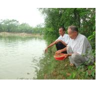 Biến đồng hoang thành tiền tỷ