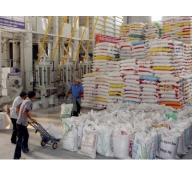 Khối lượng tăng đột biến, xuất khẩu gạo vẫn ảm đạm