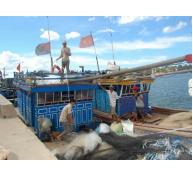 Mùa biển 400 tỷ đồng của ngư dân Bảo Ninh