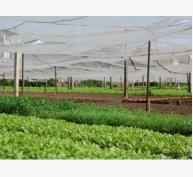 VIETRAP tăng cường hoạt động quảng bá nông sản