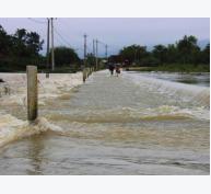 Bình Định: Đê sông sạt lở, nông dân ngừng gieo sạ đến hết ngày 20.12