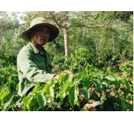 Các “đại gia” cà phê rang xay đầu tư mạnh vào Việt Nam