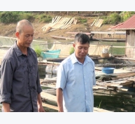 Dân tái định cư xã Chiềng Bằng giàu lên từ nghề nuôi cá lồng bè trên hồ thủy điện