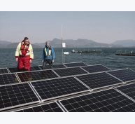 Những người tiên phong nuôi trồng thủy sản đang theo đuổi cuộc cách mạng năng lượng tái tạo