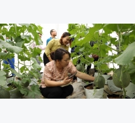 Bắc Ninh tập huấn ứng dụng công nghệ thông tin trong sản xuất nông nghiệp