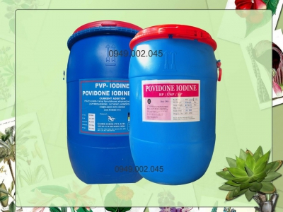 PVP Iodine - Phòng và trị vi khuẩn gây bệnh phát sáng, mòn đuôi trên tôm