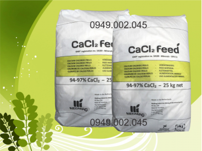 CaCl2 Feed - Khoáng Canxi clorua khan dạng hạt, nguyên liệu Hà Lan