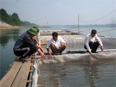 Hợp Tác Xã Nông Nghiệp Xuân Lộc Phát Huy Vai Trò Quản Lý Vì Mục Tiêu Phát Triển