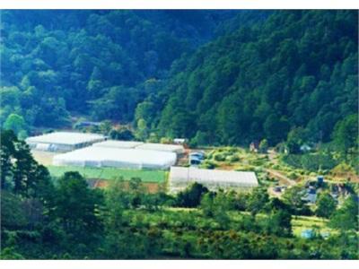 Lâm Đồng Thành Lập Trang Trại Sản Xuất Nông Nghiệp Công Nghệ Cao Agriteck Japan