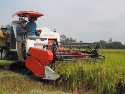 Philippines gia hạn nhập khẩu gạo Việt: Mừng nhiều, lo cũng... không ít