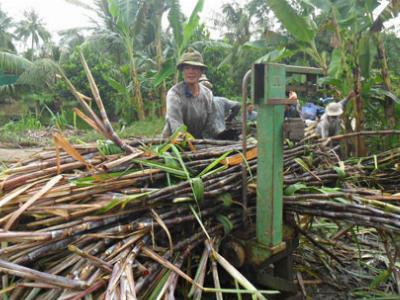 Loay hoay xác định nông sản chủ lực: Gấp rút định vị lại sản phẩm