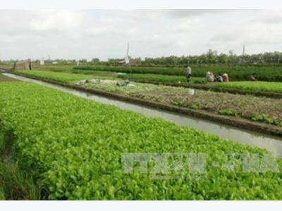 Tra Vinh calls for investment in agricultural projects