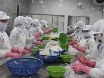 Enterprises shift round to China when exporting Pangasius to US and EU grew negatively