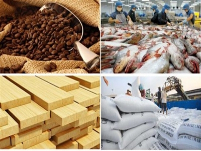 Collecting US$ 36 billion from exports of agricultural, forestry and fishery products