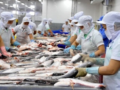 Long An to increase aquaculture area in 2018