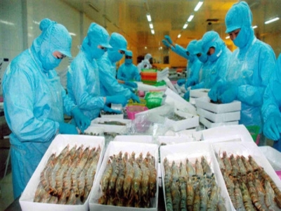 Aquatic exports forecast to rise to US$8.5 bln next year