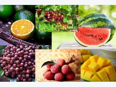 Vietnams fruit exporters prosper