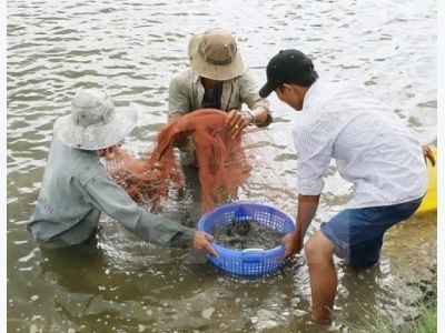 Tra Vinh calls for investment in 17 projects on aquatic farming